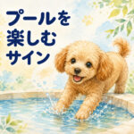 わんちゃんのプール遊び｜楽しんでいるか見極める1つのポイント