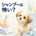 わんちゃんがシャンプーを嫌がる理由は？慣らし方と練習のコツ