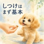 わんちゃんのしつけがうまくいく基本｜自己流で失敗しないコツ