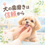 【犬の歯磨き】上手にできる人が必ずやっていること