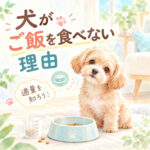 わんちゃんがご飯を食べないのはなぜ？1日の適量を見直そう