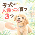 子犬が人懐っこく育つポイント