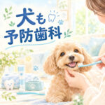 わんちゃんも予防歯科が大切！歯磨きと定期チェックのすすめ