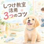 子犬のしつけ方教室を上手に活用する3つのコツ