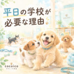 子犬の学校が誕生した2つの理由