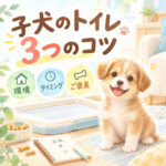 子犬のトイレしつけ3つの基本｜成功率を上げるコツ