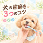 わんちゃんの歯磨きで見るべき3つのポイント