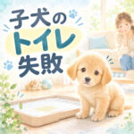 子犬のトイレが急にできない？原因と対処法