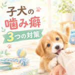 子犬の噛み癖を直す3つの対策