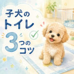 子犬のトイレ成功率を上げる3つのポイント