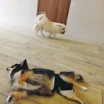 発信の理由