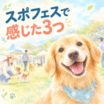 イベントで大切にしたい3つのこと