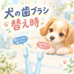 わんちゃんの歯ブラシはいつ替える？交換目安を解説