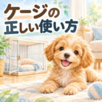 わんちゃんのケージの正しい使い方｜お留守番と寝る時が基本