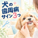 わんちゃんの歯周病サイン3つ！歯茎と口臭のチェック法